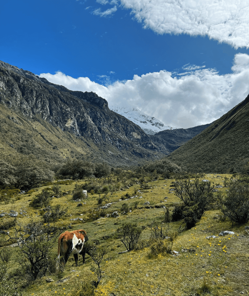 Best Huaraz Travel Guide